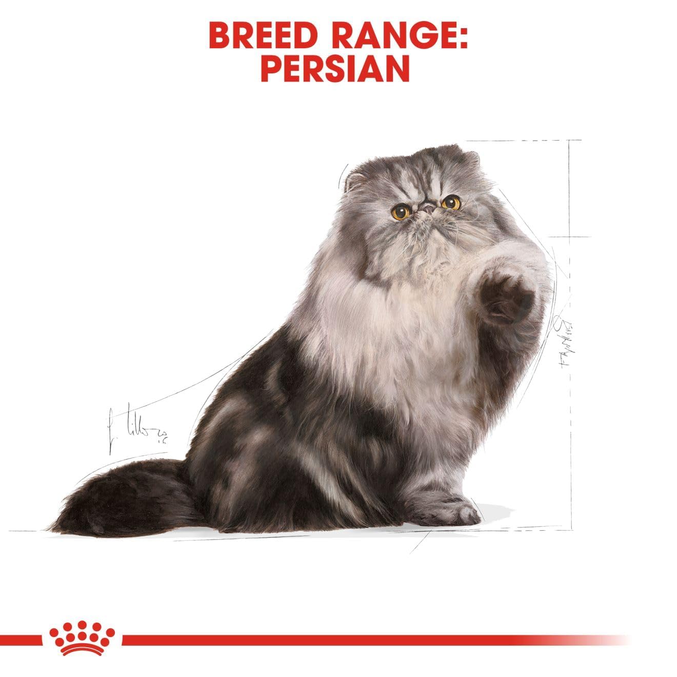 Royal Canin PERSIAN 2 KG
